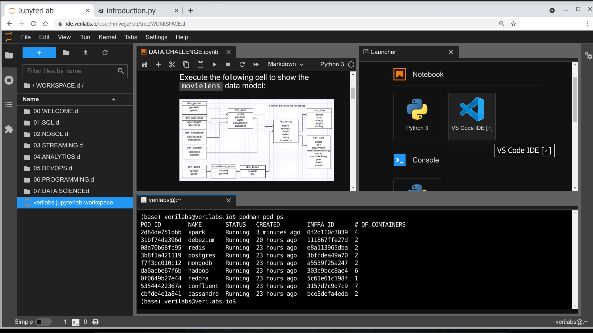 Verilabs JupyterLab IDE